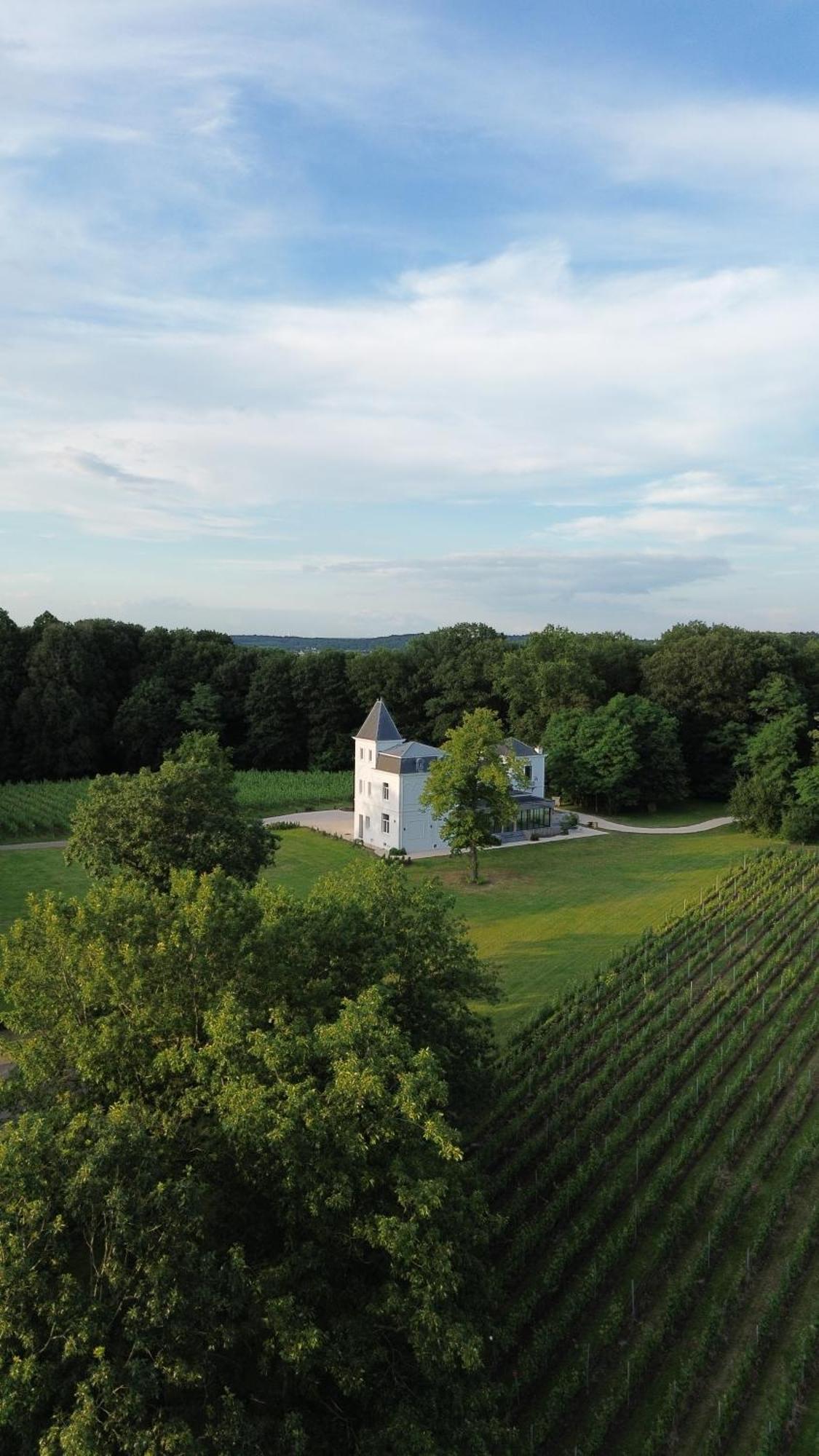 Wijnkasteel Haksberg Villa Tielt Kültér fotó